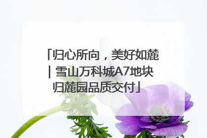 归心所向，美好如麓｜雪山万科城A7地块归麓园品质交付