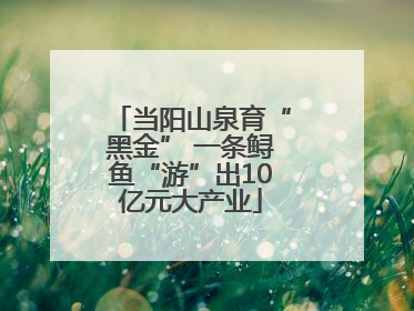 当阳山泉育“黑金” 一条鲟鱼“游”出10亿元大产业
