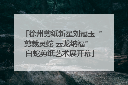 徐州剪纸新星刘冠玉“剪裁灵蛇 云龙纳福” 白蛇剪纸艺术展开幕