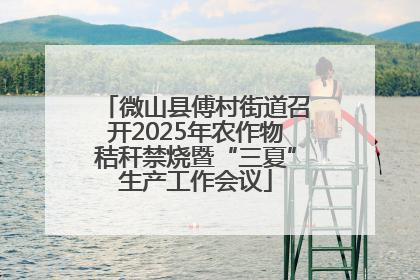 微山县傅村街道召开2025年农作物秸秆禁烧暨“三夏”生产工作会议