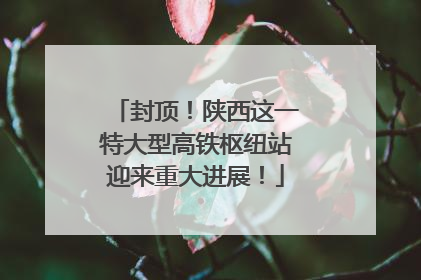 封顶！陕西这一特大型高铁枢纽站迎来重大进展！