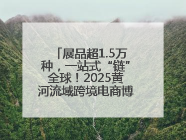 展品超1.5万种，一站式“链”全球！2025黄河流域跨境电商博览会启幕