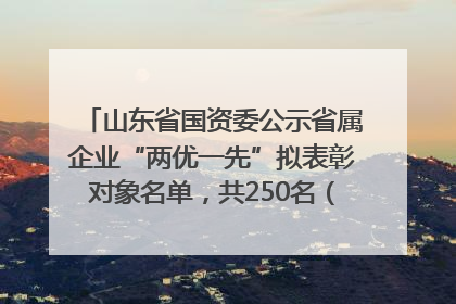 山东省国资委公示省属企业“两优一先”拟表彰对象名单，共250名（个）党员和党组织