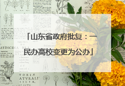 山东省政府批复：一民办高校变更为公办