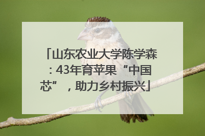 山东农业大学陈学森：43年育苹果“中国芯”，助力乡村振兴