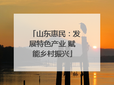 山东惠民：发展特色产业 赋能乡村振兴