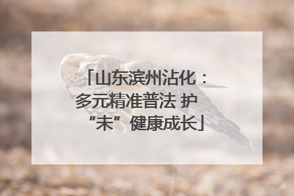 山东滨州沾化：多元精准普法 护“未”健康成长