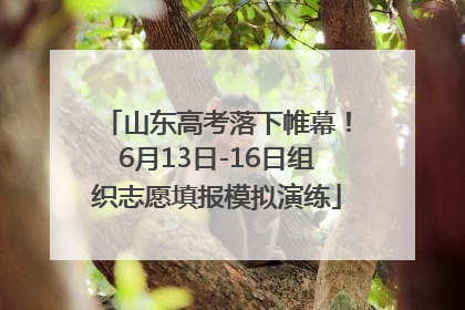 山东高考落下帷幕！6月13日-16日组织志愿填报模拟演练