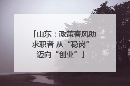 山东：政策春风助求职者 从“稳岗”迈向“创业”