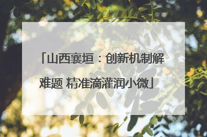 山西襄垣：创新机制解难题 精准滴灌润小微
