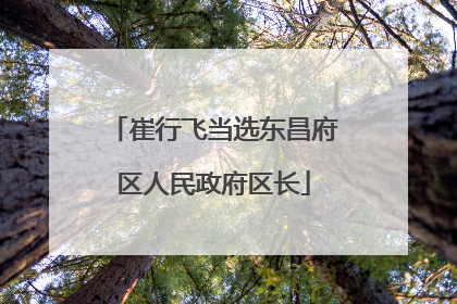 崔行飞当选东昌府区人民政府区长
