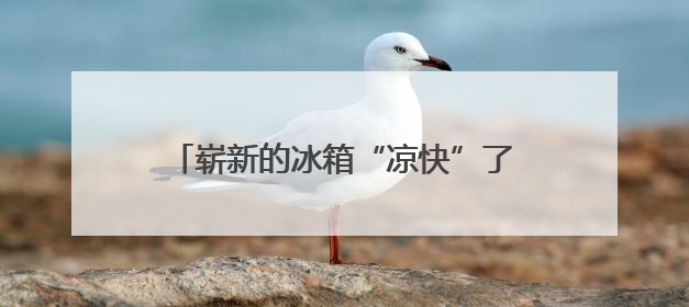 崭新的冰箱“凉快”了大伙的心，“家电圆梦”让残疾人开心度夏