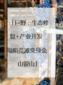 巨野：生态修复+产业开发 塌陷荒滩变身金山银山