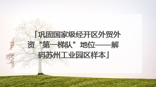 巩固国家级经开区外贸外资“第一梯队”地位——解码苏州工业园区样本