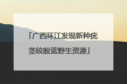 广西环江发现新种疣茎绞股蓝野生资源