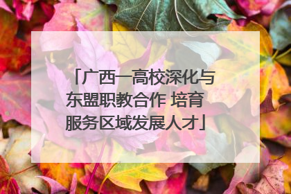 广西一高校深化与东盟职教合作 培育服务区域发展人才