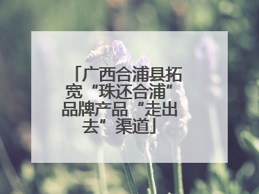 广西合浦县拓宽“珠还合浦”品牌产品“走出去”渠道