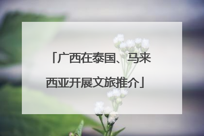 广西在泰国、马来西亚开展文旅推介