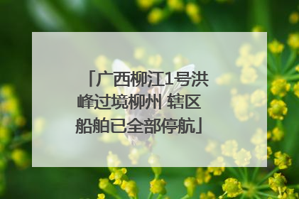 广西柳江1号洪峰过境柳州 辖区船舶已全部停航
