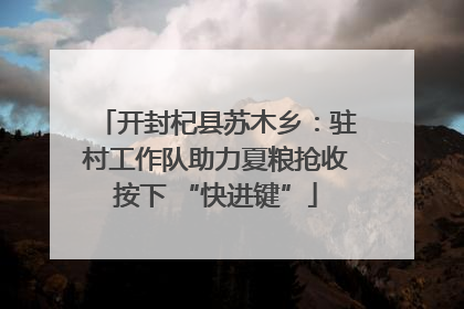 开封杞县苏木乡：驻村工作队助力夏粮抢收按下 “快进键”