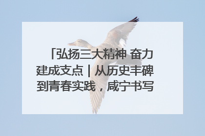 弘扬三大精神 奋力建成支点｜从历史丰碑到青春实践，咸宁书写精神传承新篇章