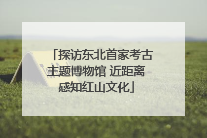 探访东北首家考古主题博物馆 近距离感知红山文化