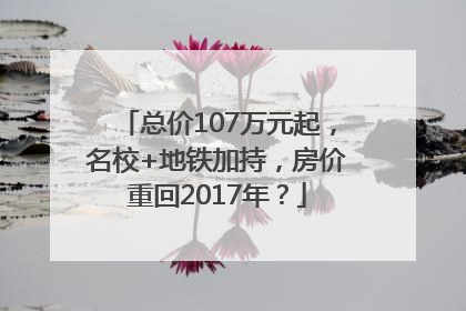 总价107万元起，名校+地铁加持，房价重回2017年？