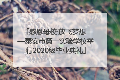 感恩母校·放飞梦想——泰安市第一实验学校举行2020级毕业典礼