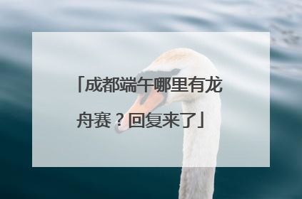 成都端午哪里有龙舟赛？回复来了