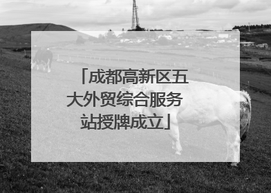 成都高新区五大外贸综合服务站授牌成立