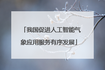 我国促进人工智能气象应用服务有序发展