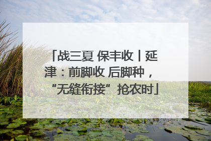 战三夏 保丰收丨延津：前脚收 后脚种，“无缝衔接”抢农时