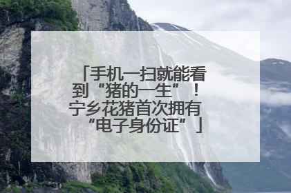 手机一扫就能看到“猪的一生”！宁乡花猪首次拥有“电子身份证”