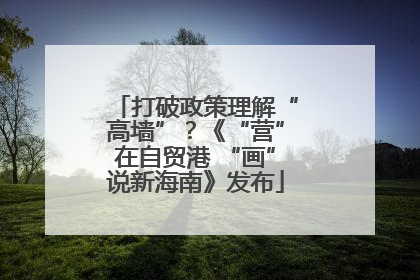 打破政策理解“高墙”？《“营”在自贸港 “画”说新海南》发布