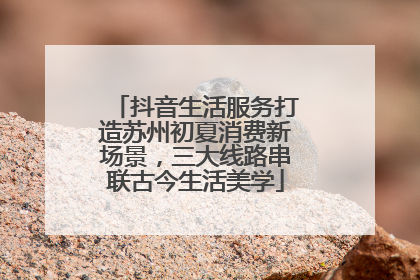 抖音生活服务打造苏州初夏消费新场景，三大线路串联古今生活美学