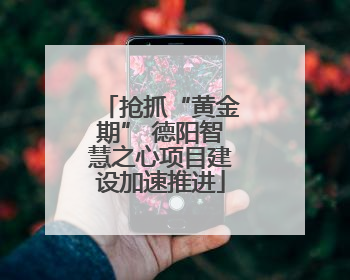 抢抓“黄金期” 德阳智慧之心项目建设加速推进