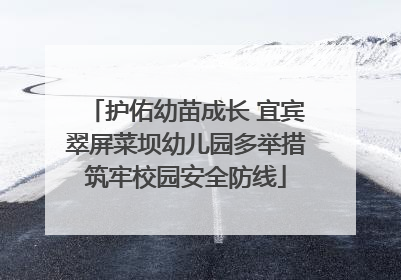 护佑幼苗成长 宜宾翠屏菜坝幼儿园多举措筑牢校园安全防线