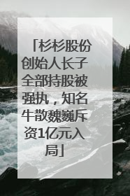杉杉股份创始人长子全部持股被强执，知名牛散魏巍斥资1亿元入局