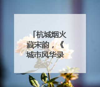 杭城烟火藏宋韵，《城市风华录》走进文明城市杭州