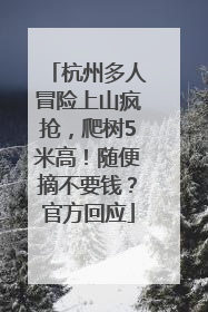 杭州多人冒险上山疯抢，爬树5米高！随便摘不要钱？官方回应