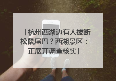 杭州西湖边有人拔断松鼠尾巴？西湖景区：正展开调查核实