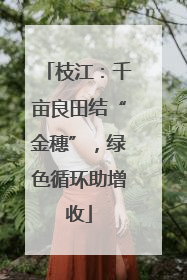 枝江：千亩良田结“金穗”，绿色循环助增收