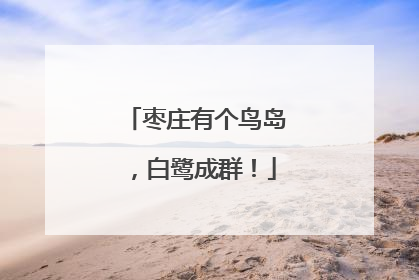 枣庄有个鸟岛，白鹭成群！