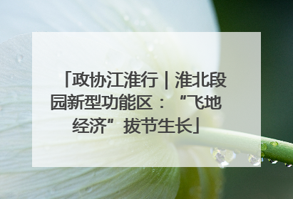 政协江淮行｜淮北段园新型功能区：“飞地经济”拔节生长
