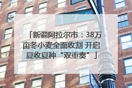 新疆阿拉尔市：38万亩冬小麦全面收割 开启夏收夏种“双重奏”