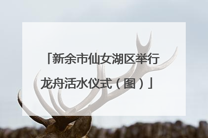新余市仙女湖区举行龙舟活水仪式（图）