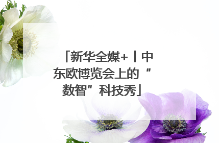 新华全媒+丨中东欧博览会上的“数智”科技秀