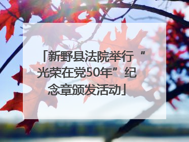 新野县法院举行“光荣在党50年”纪念章颁发活动