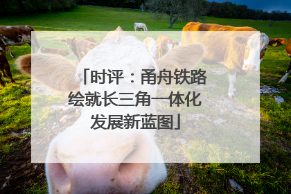 时评：甬舟铁路绘就长三角一体化发展新蓝图