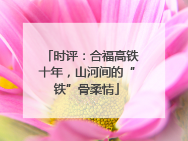 时评：合福高铁十年，山河间的“铁”骨柔情